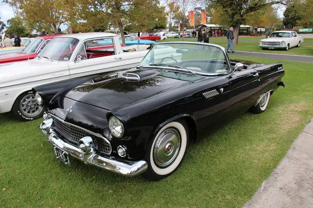 Open black 1955 Thunderbird showing the windshield, two-seat cabin, hood scoop, front brightwork, steel wheels, full covers, and stock-presenting stance.
