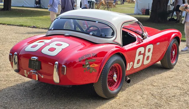 Rear view of the same 1962 competition Cobra showing its hardtop, race markings, tow point, exhaust, and competition presentation; none is generalized to street cars.