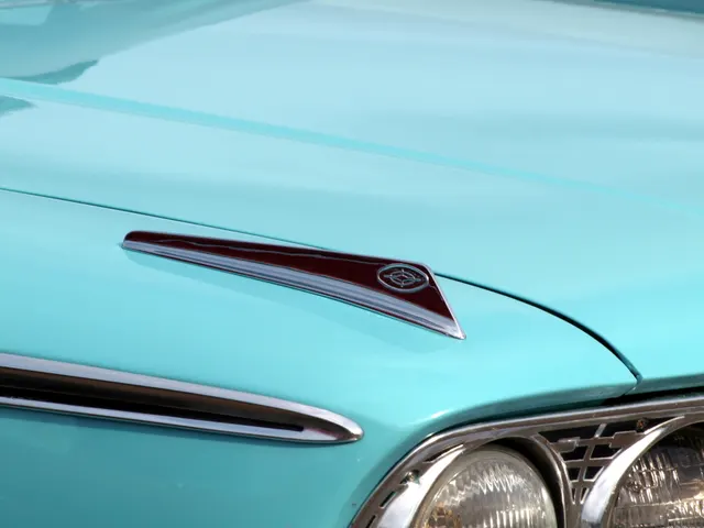 1963 Galaxie hood ornament and upper fender brightwork