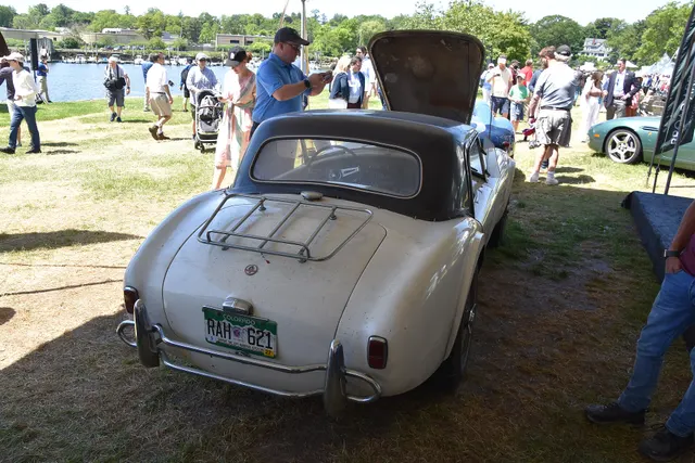 Rear view of an unrestored 1964 289 Cobra with removable hardtop, luggage rack, bumperettes, and wire wheels; equipment remains chassis-specific.