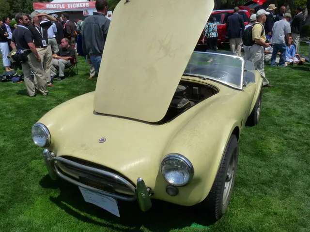 Front three-quarter view of a stock-presenting 1964 AC Cobra 289 roadster with its hood open; components remain specific to this car.