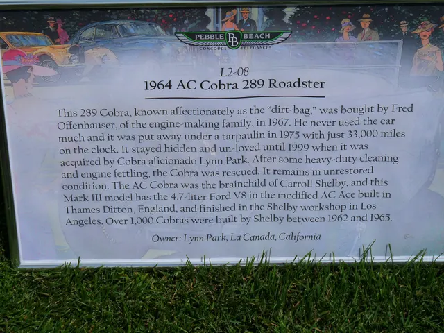 Period-history display identifying a 1964 AC Cobra 289 roadster and its chassis history; the placard is context rather than a universal specification.