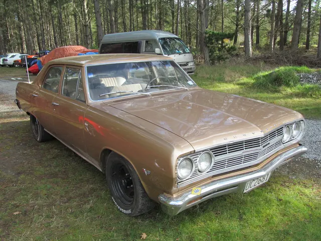 1965 Chevrolet Chevelle side/body context; not presented as a verified Z16 car.