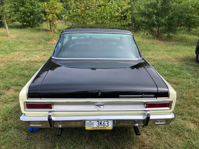 Restored 1966 Rogue 290 V8 hardtop, rear view