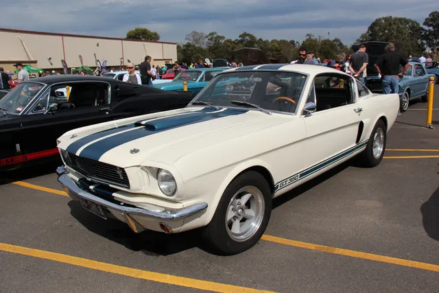 1966 Shelby Mustang GT350 Fastback (14959769894).jpg; reviewed as representative 1966 Shelby GT350 media, not proof of any individual car's originality.
