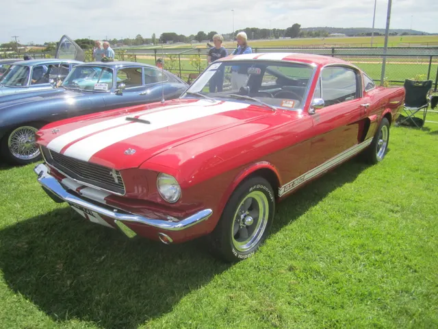 1966 Shelby Mustang GT350.jpg; reviewed as representative 1966 Shelby GT350 media, not proof of any individual car's originality.
