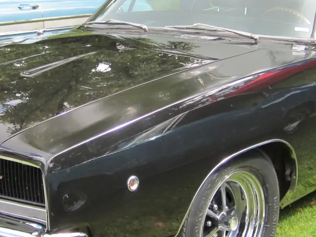 Detail crop from the approved Sicnag Charger R/T image showing side surfacing and R/T visual context.