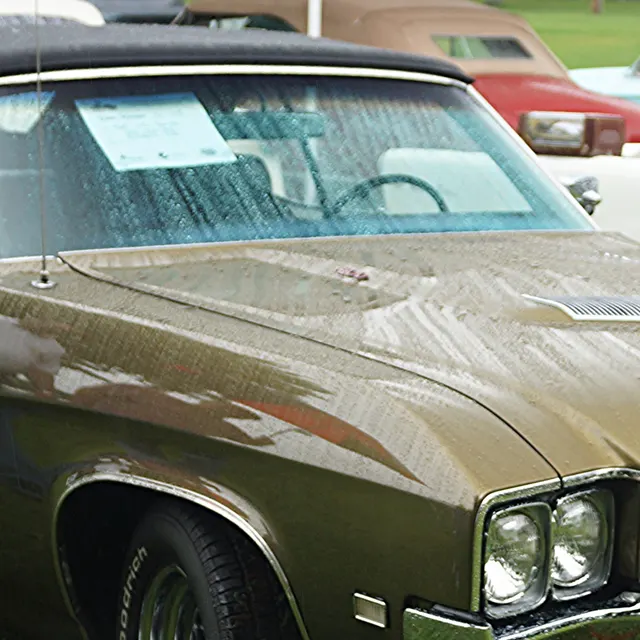 Convertible detail crop from a 1969 Buick GS Gran Sport image; trim context only.