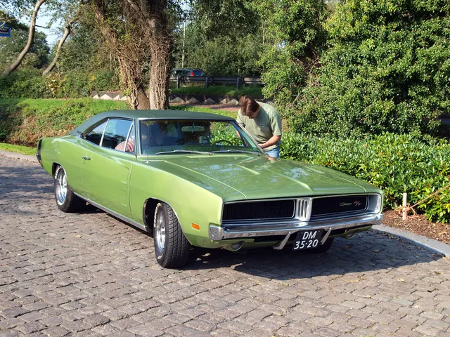1969 Dodge Charger R/T photographed by AlfvanBeem; reviewed as representative restored/show-car exterior context.