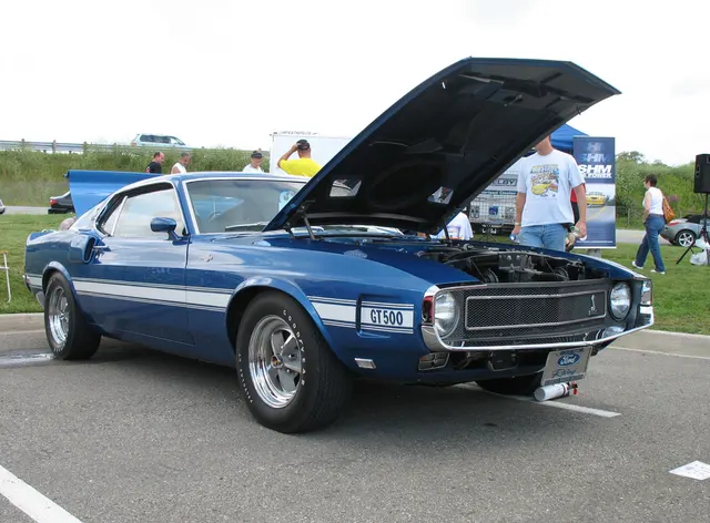 1969 Shelby GT500 side profile; reviewed as representative 1969 Shelby GT500 media, not proof of any individual car originality.