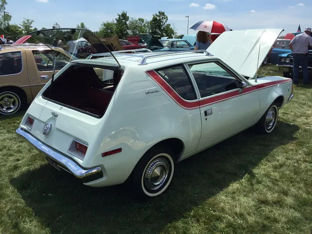 Exact-year four-passenger rear view retained for the optional lift-up rear window, hinges, opening, lamps, fuel filler, bumper, roof rack, stripes, and rear-body context.