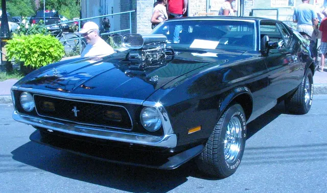 1971 Ford Mustang Mach 1 show photo; reviewed as model-line exterior context.