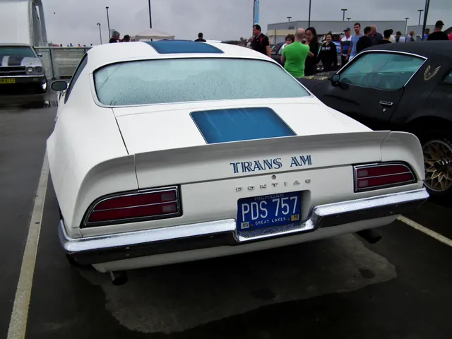 Exact-year Trans Am rear view showing the Cameo White finish, blue deck stripe, Trans Am lettering, spoiler, lamps, and bumper trim; it documents model appearance, not original paint on an individual car.