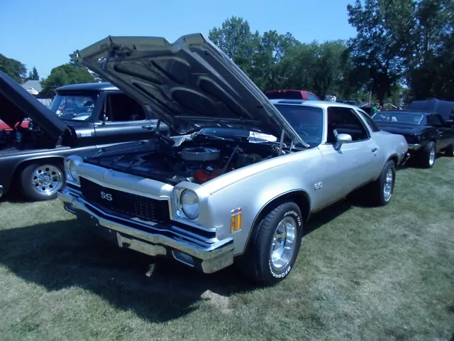 Licensed 1973 Chevrolet Chevelle SS show image; exterior and SS-badge context only.