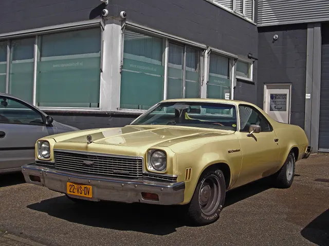 Exact-year 1973 Chevrolet El Camino view documenting the Colonnade coupe-utility body, front treatment, roof, bed, tailgate, trim, and wheels; condition remains subject-specific.