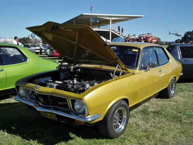 Exact-year 1973 Holden Torana view documenting the body, model trim, glazing, lamps, bumpers, and wheel treatment; visible restoration remains subject-specific.