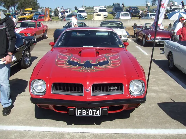 Pontiac Firebird Trans Am display image used as same-era 1974 context per Commons category placement.
