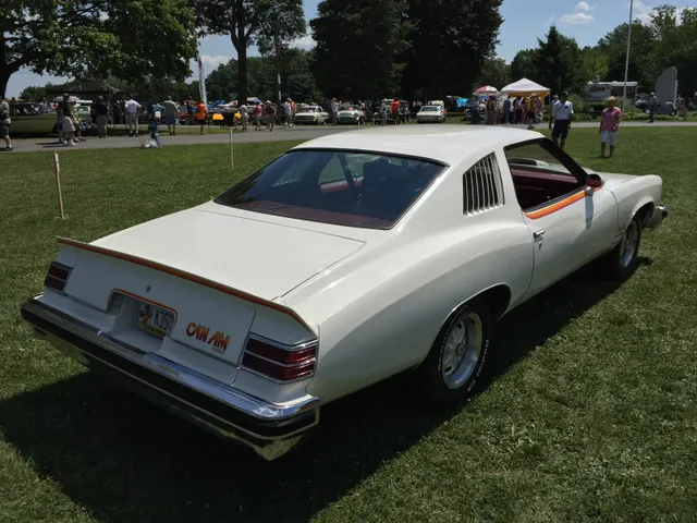 1977 Can Am rear three-quarter view