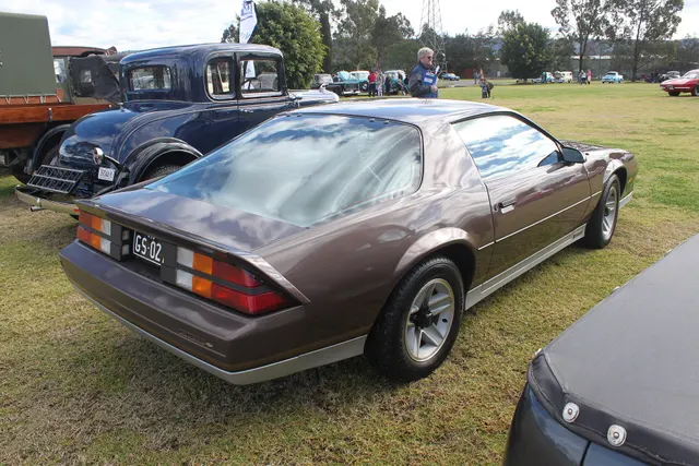A photographed 1983 Camaro Z28 showing brown paint, lower-body accent treatment, Z28 badging, rear spoiler, lamps, glass, and wheel context; finish, equipment, condition, and individual-car originality remain specific to this car.