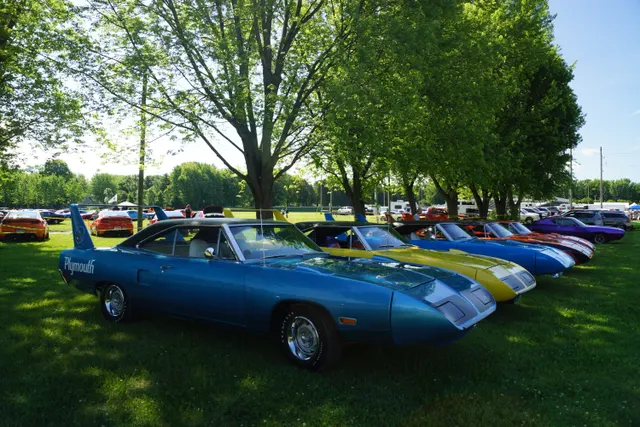 Group of Plymouth Superbirds; production and survivorship visual context for the wing-car community.