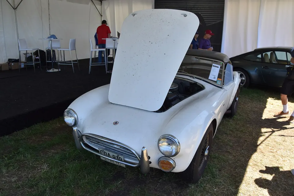 1964 Cobra 289 engine assembly profile photo