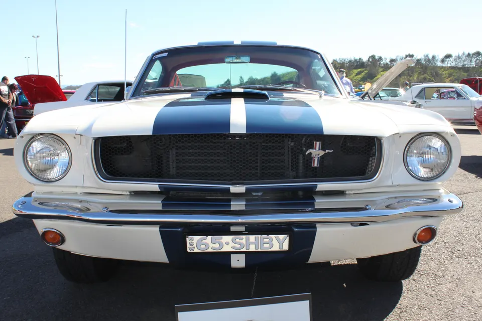 Black Mustang interior trim profile photo