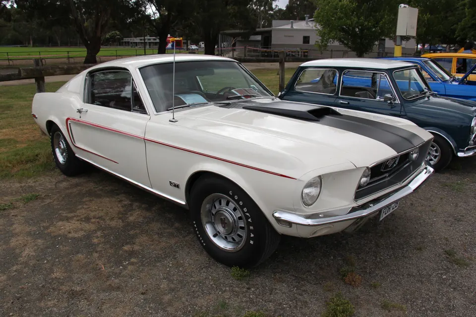 Functional Cobra Jet hood scoop with black hood treatment context profile photo