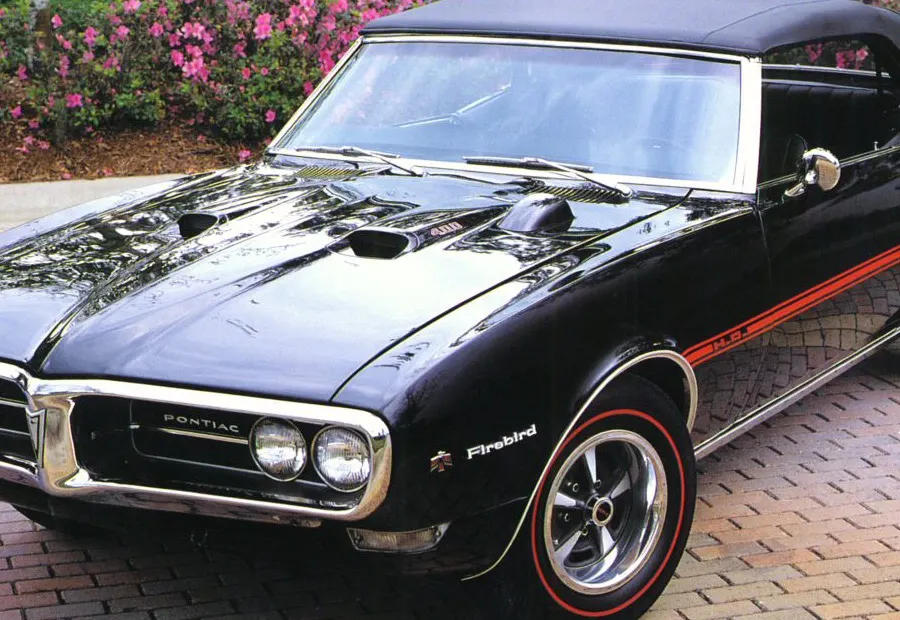 Bucket-seat Firebird interior context; exact trim requires body tag and paperwork profile photo