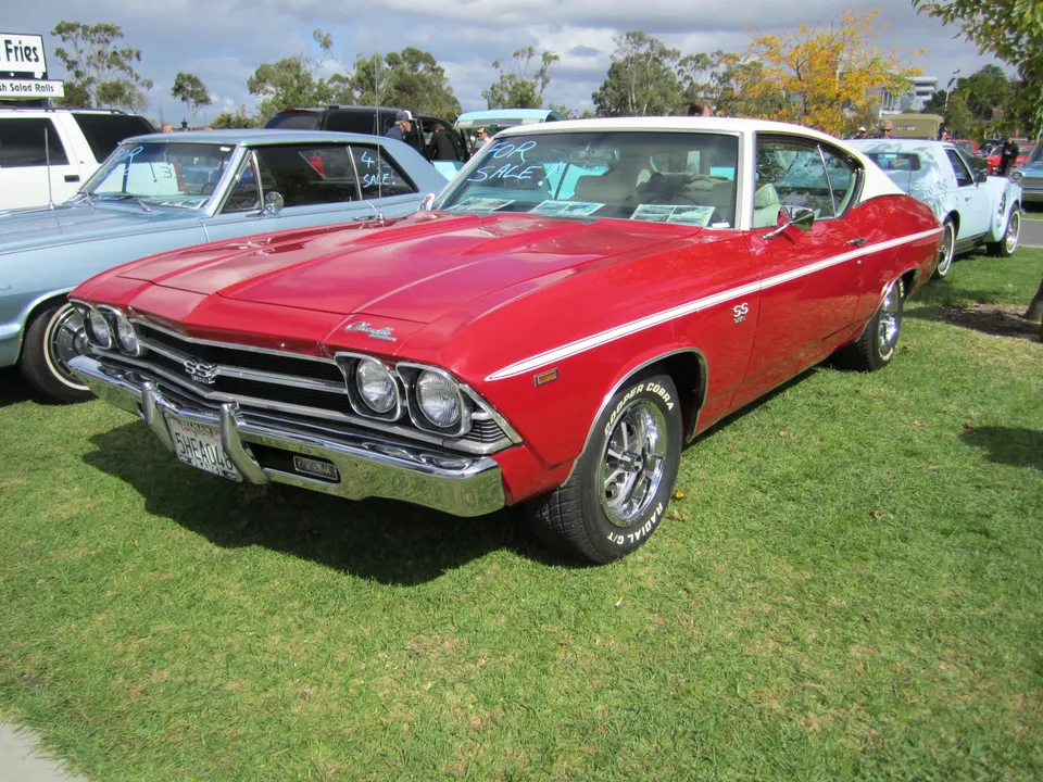 D96 wide upper body side accent stripes profile photo