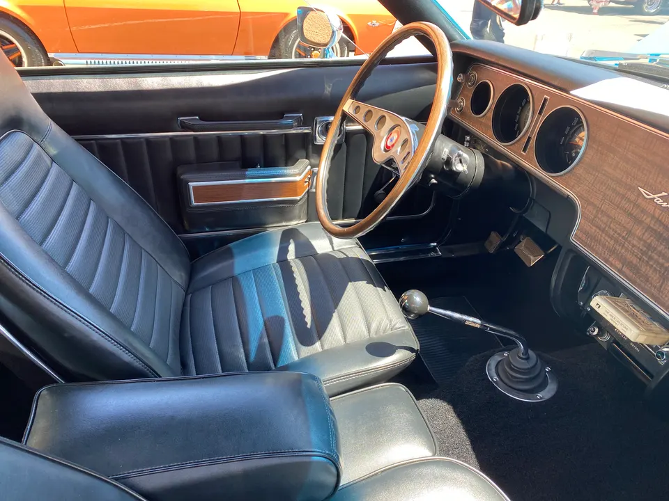 SST woodgrain instrument-panel and door trim profile photo