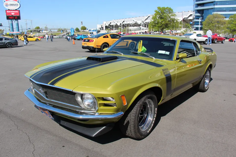 Medium Lime Metallic (G) profile photo