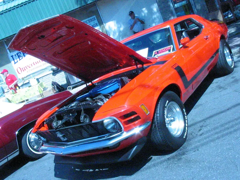 Transmission type profile photo