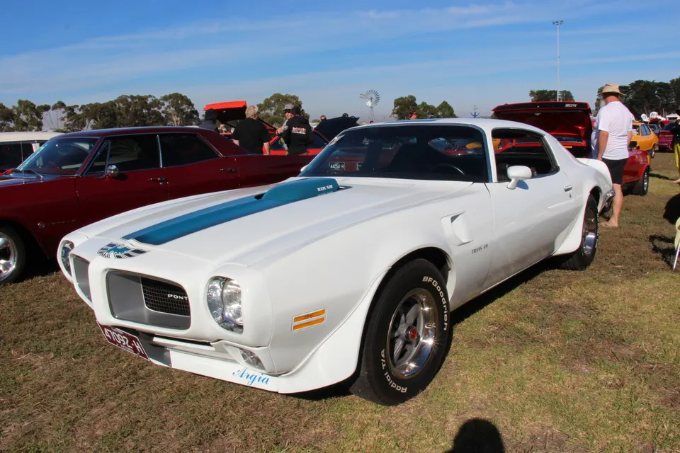 Trans Am model identification profile photo