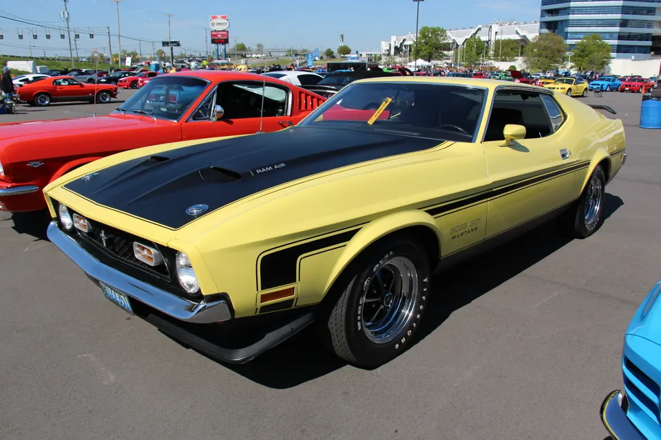 Grabber Yellow (D) profile photo