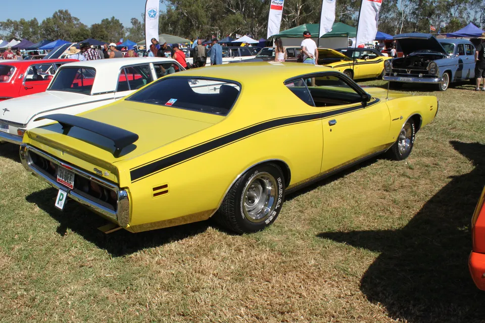 Super Bee tape stripes profile photo