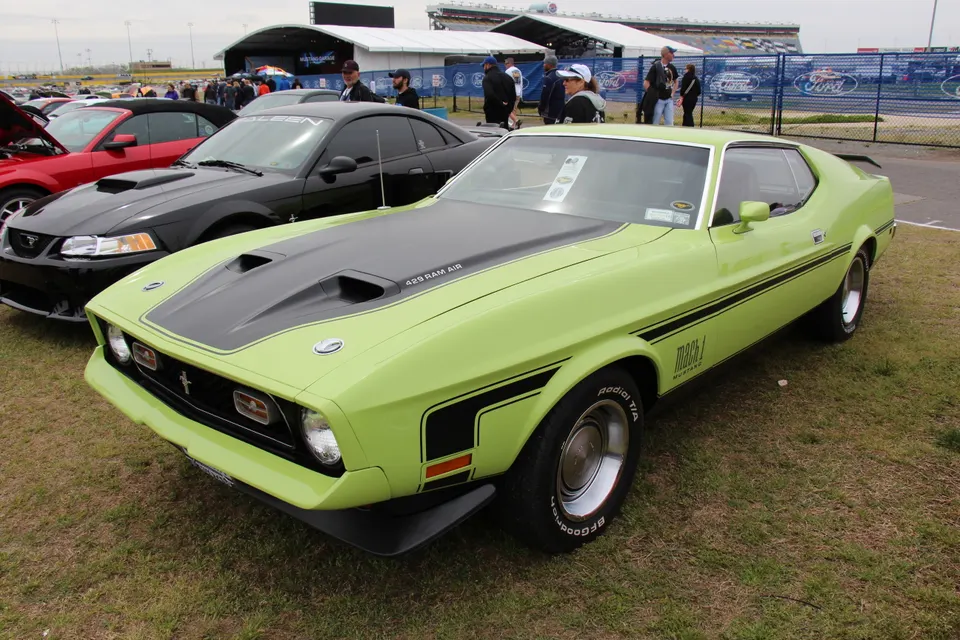 Mach 1 body identity profile photo