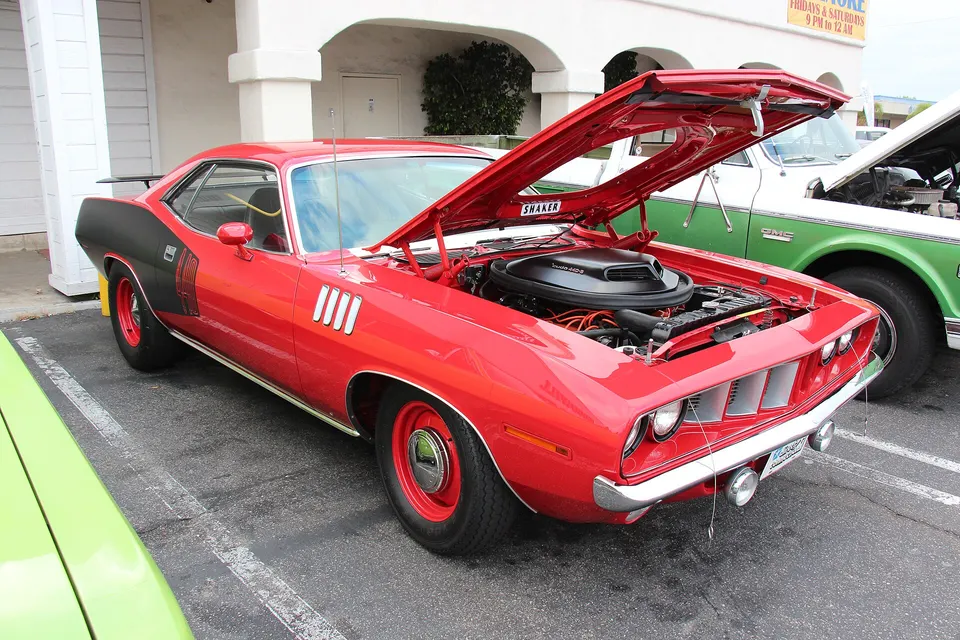 'Cuda ornamentation profile photo