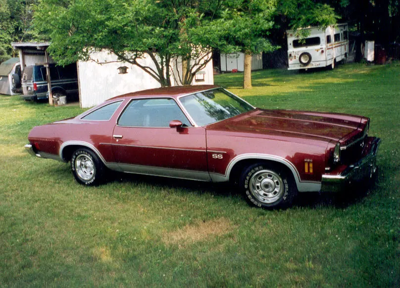 Cloth/vinyl and all-vinyl Malibu trim context profile photo