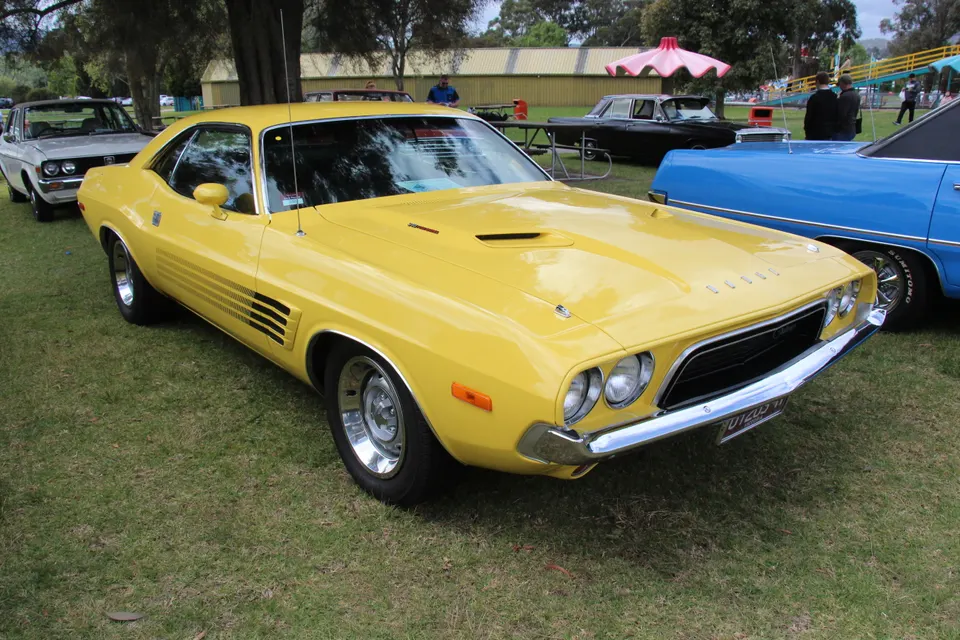 Sport hood profile photo