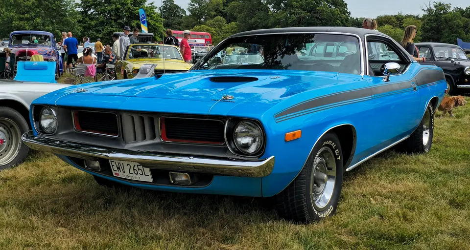 Black rear panel with Cuda identification profile photo