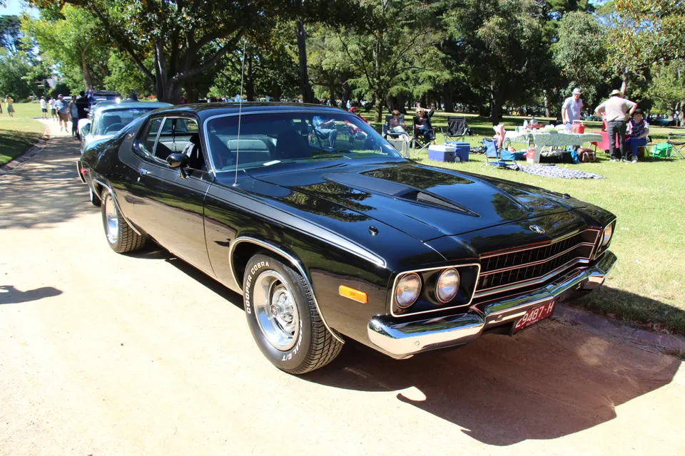 Road Runner side/hood graphics profile photo