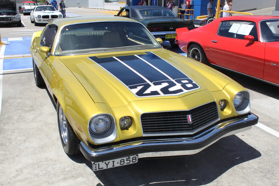 Light Gold Metallic (53) profile photo