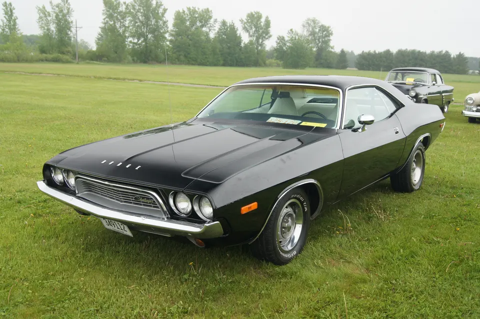 Vinyl roof profile photo
