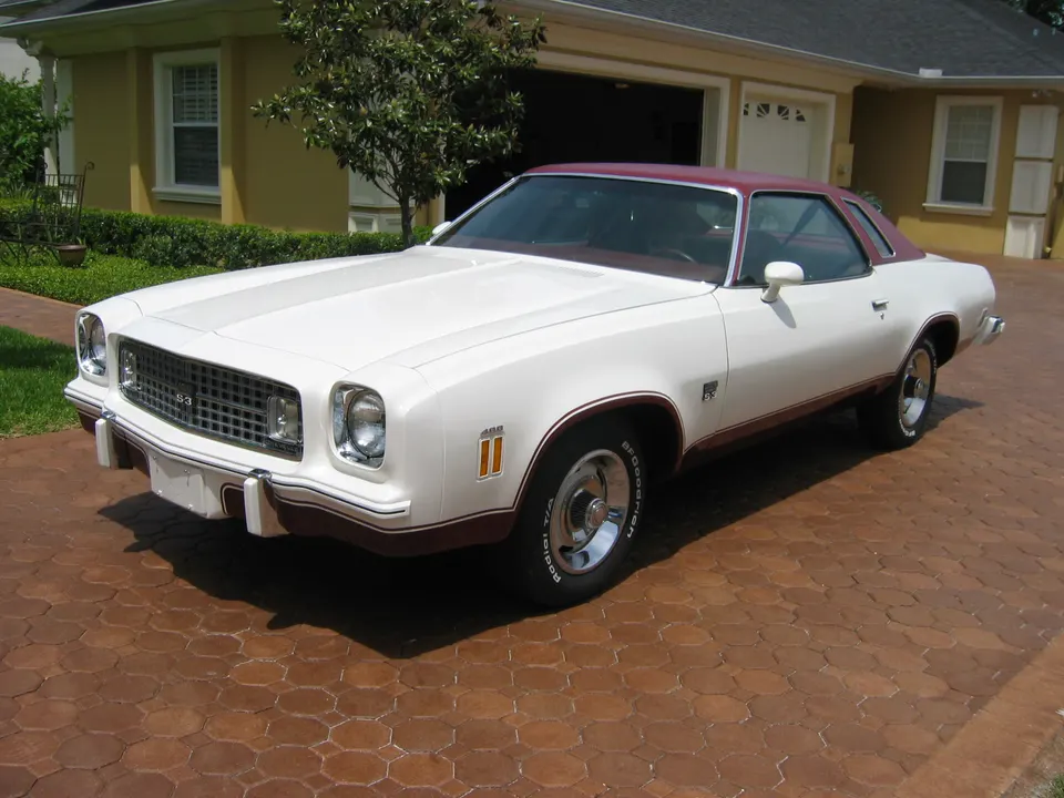 Vinyl roof with opera-type vertical rear quarter-window context profile photo