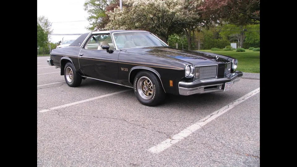 Gold hood, side, and deck graphics profile photo