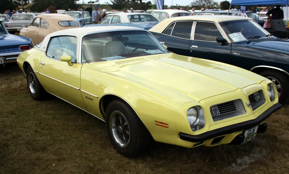 Firebird and configuration-specific identification profile photo