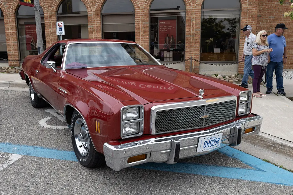 1976 grille, lamps, bumpers, tailgate, and bed trim profile photo