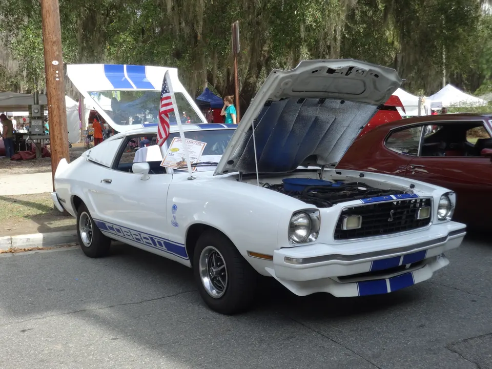 1976 Mustang II 302 engine assembly profile photo