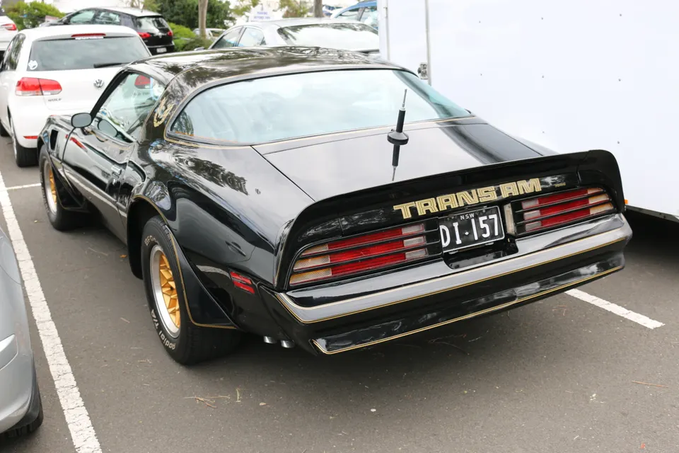 Firebird Trans Am and configuration-specific identification profile photo