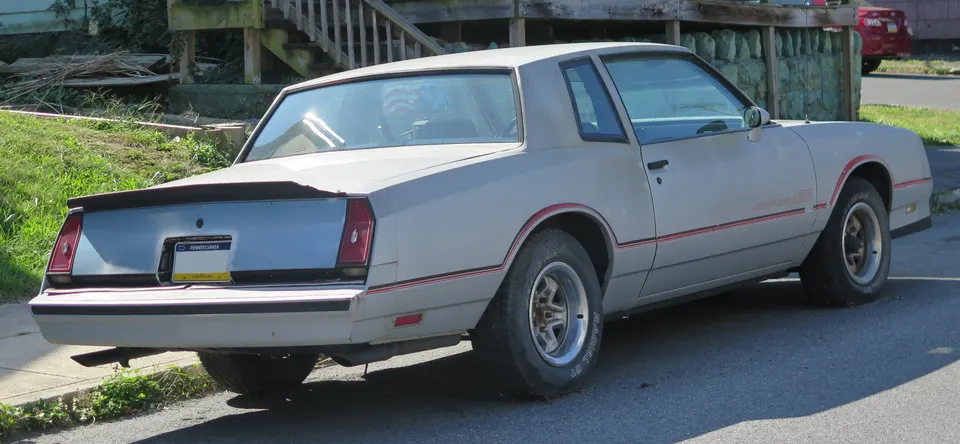 SS accent striping (STRIPE) profile photo